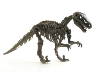 Ratossauros Lourinhatex