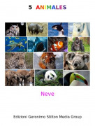 Neve - 5 ANIMALES