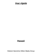 Hawaii - truc rigolo