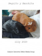 lily 2020 - Negrito y Manchita