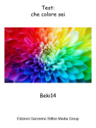 Beki14 - Test:che colore sei