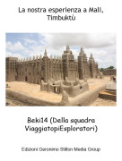 Beki14 (Della squadra ViaggiatopiEsploratori) - La nostra esperienza a Mali, Timbuktù
