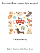 kiki (maltese) - bacheca i love dog,per i partecipanti