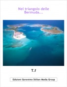 T.f - Nel triangolo delle
Bermuda...
