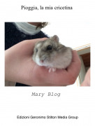 Mary Blog - Pioggia, la mia cricetina
