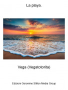 Vega (Vegatotorita) - La playa.