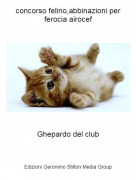 Ghepardo del club - concorso felino,abbinazioni per ferocia airocef