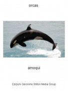 amoqui - orcas
