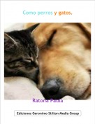 Ratona Paula - Como perros y gatos.