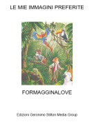 FORMAGGINALOVE - LE MIE IMMAGINI PREFERITE