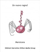 Marsicana - Un nuovo ragno!