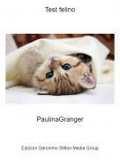 PaulinaGranger - Test felino