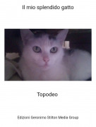 Topodeo - Il mio splendido gatto