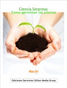 Machi - Ciencia Sorpresa:
Como germinan las plantas