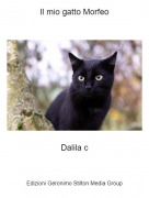 Dalila c - Il mio gatto Morfeo