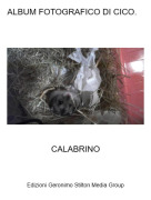 CALABRINO - ALBUM FOTOGRAFICO DI CICO.