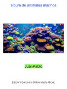 JuanPablo - album de animales marinos