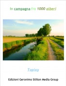 Topixy - In campagna fra 1000 alberi